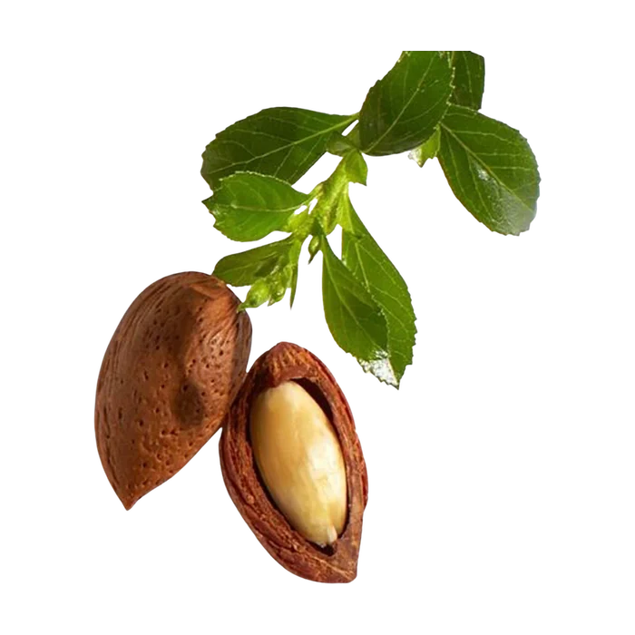 Jojoba Oil